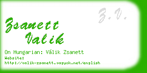 zsanett valik business card