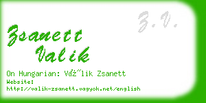 zsanett valik business card